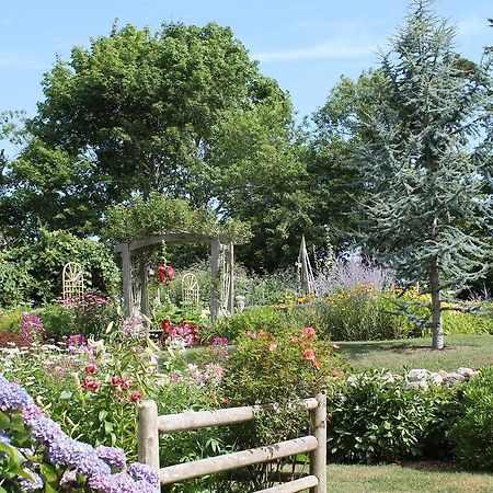 Bed and Breakfast Lavender Bay Барнстейбл Экстерьер фото